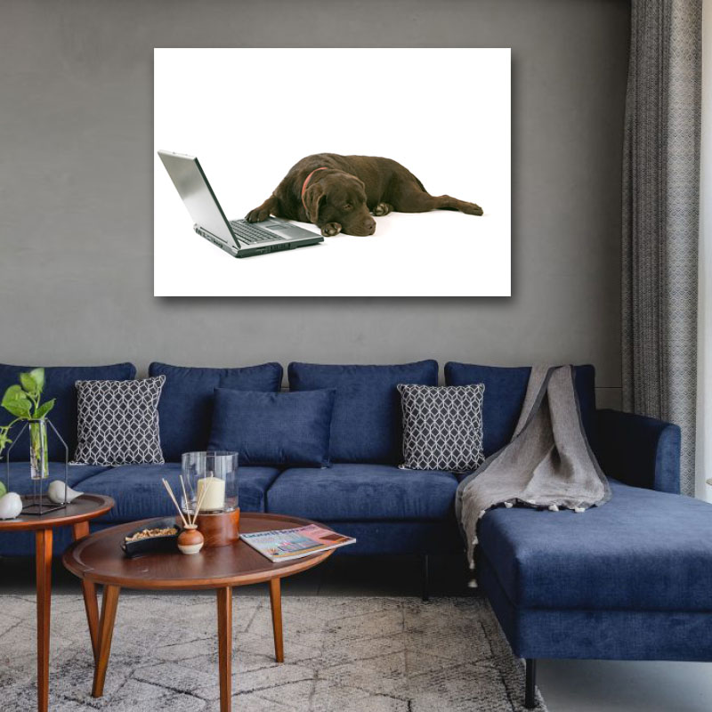 Πίνακας σε καμβά Σκύλος με Laptop
